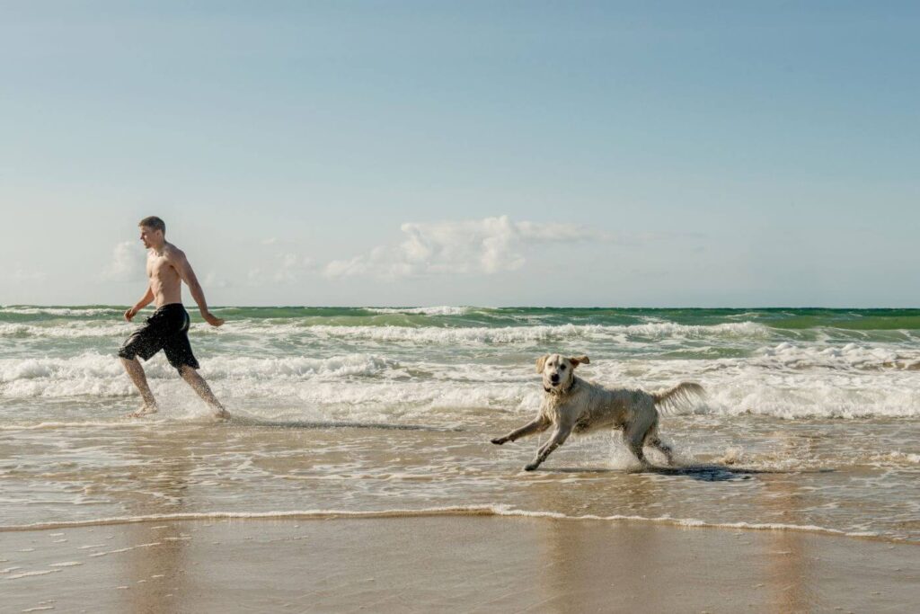 Bring your dog to Hals Strand Camping