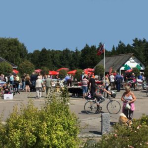 Large Lagoon Flea Market